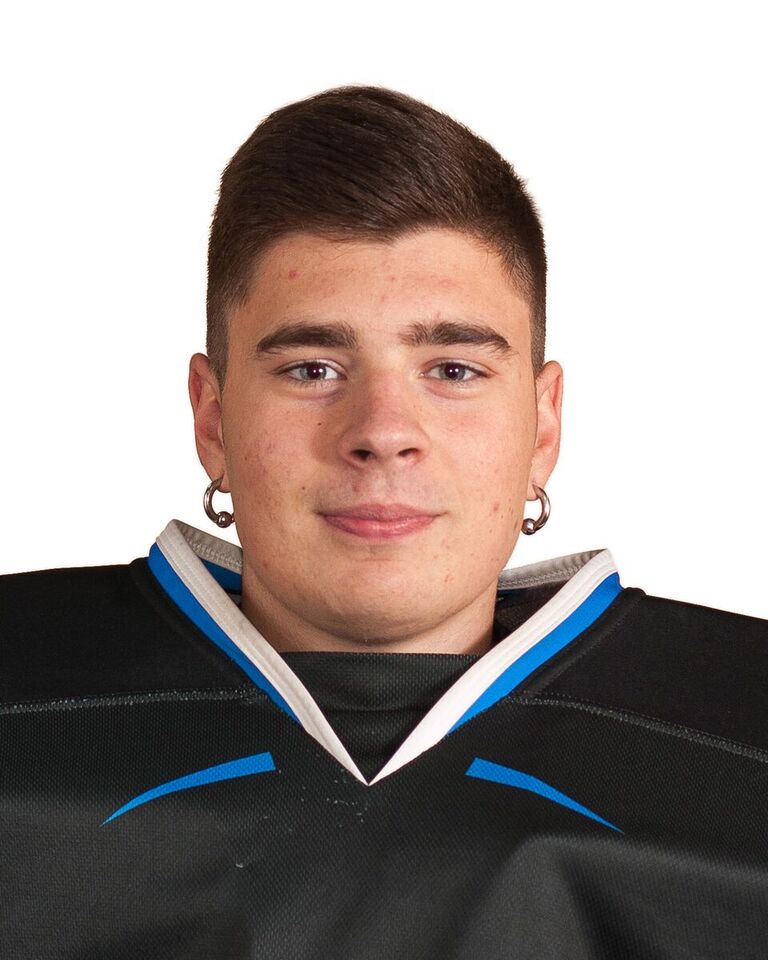 HOLMANSKY Vladislav